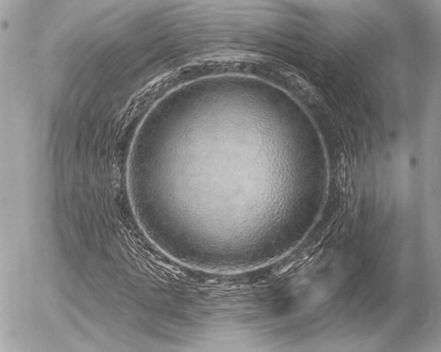 X0000056350821200508261309