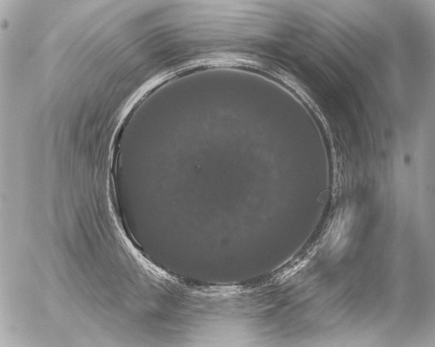 X0000056350853200508261310