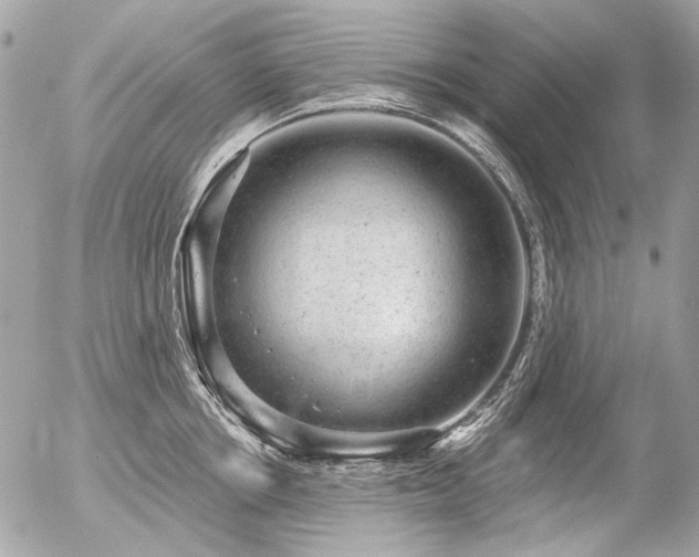 X0000056350858200508261310