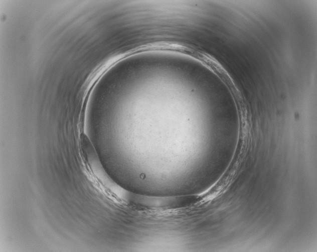 X0000056350860200508261310