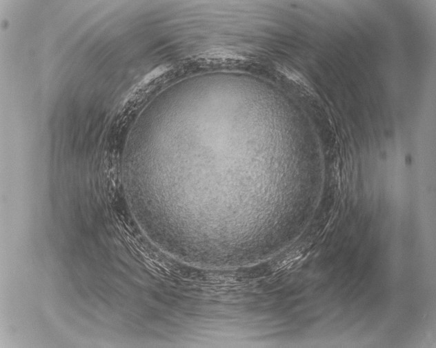 X0000056350870200508261309