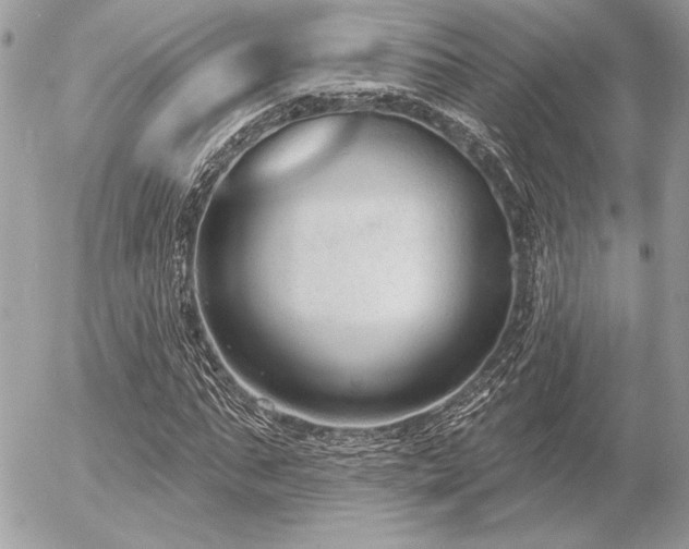 X0000056350871200508261309