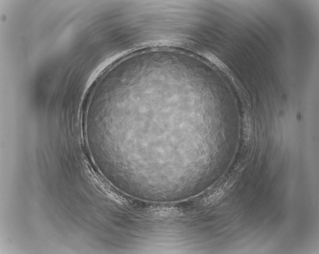 X0000056350886200508261309