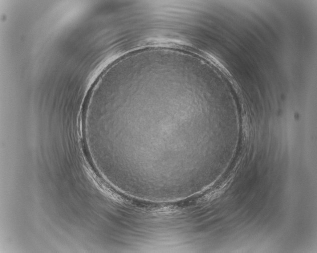 X0000056350891200508261309