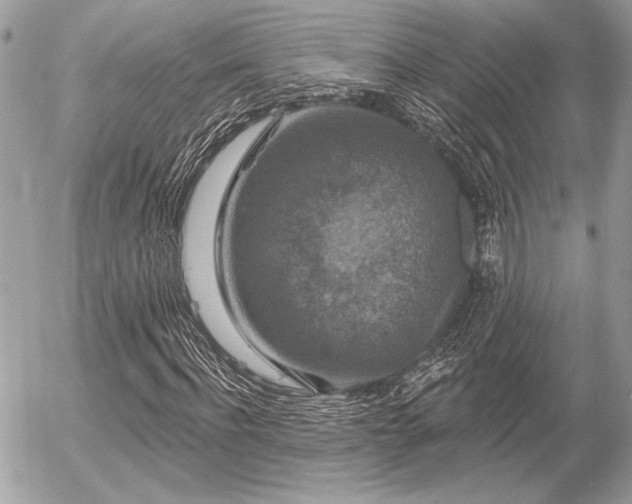 X0000056350916200508261307