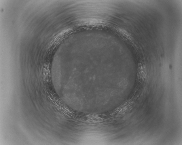 X0000056350918200508261307