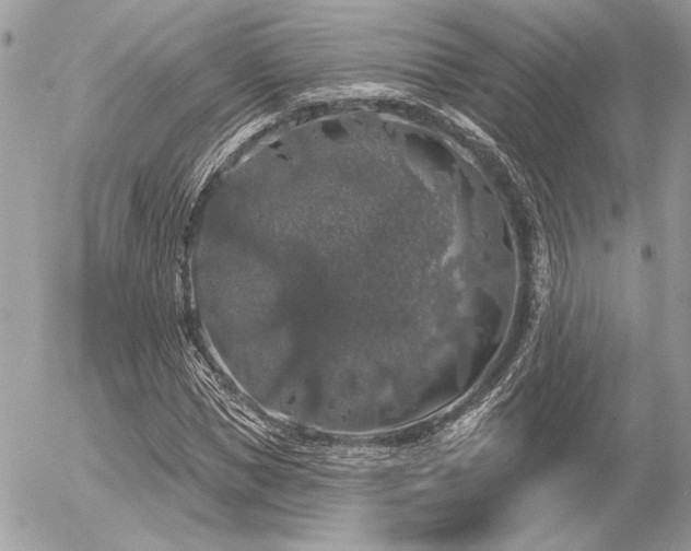 X0000056350921200508261308