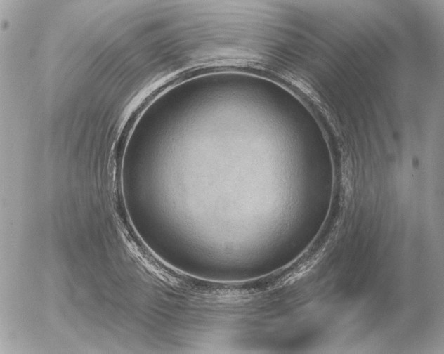 X0000056350933200508261308