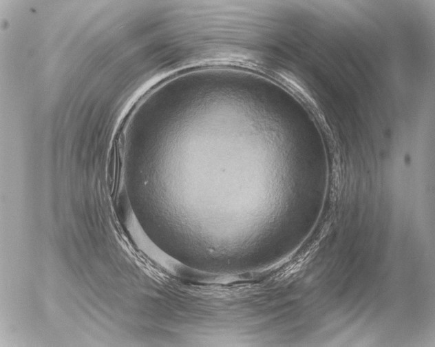X0000056350948200508261308