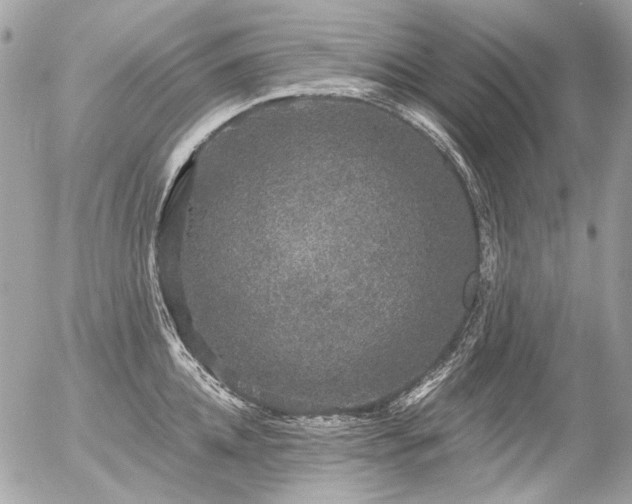 X0000056350952200508261308