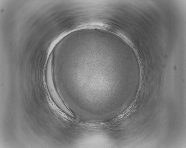 X0000056350960200508261308