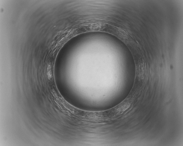 X0000056350962200508261307
