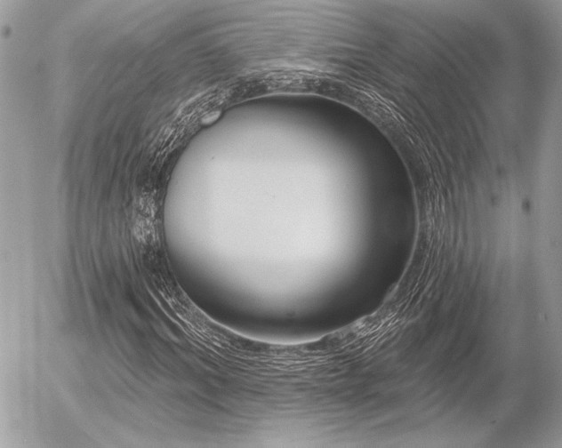 X0000056350964200508261307