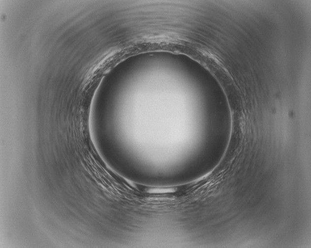 X0000056350968200508261307