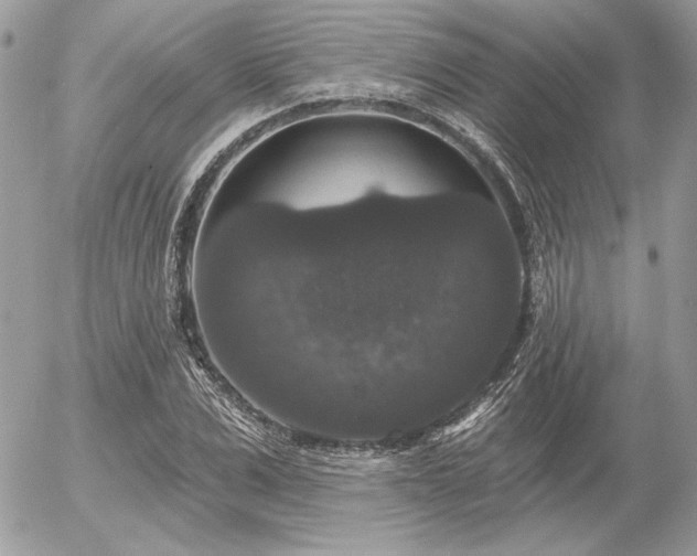 X0000056350975200508261307