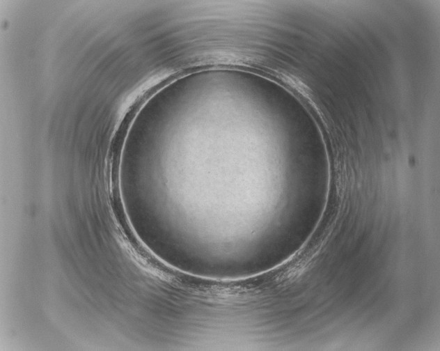 X0000056350987200508261307