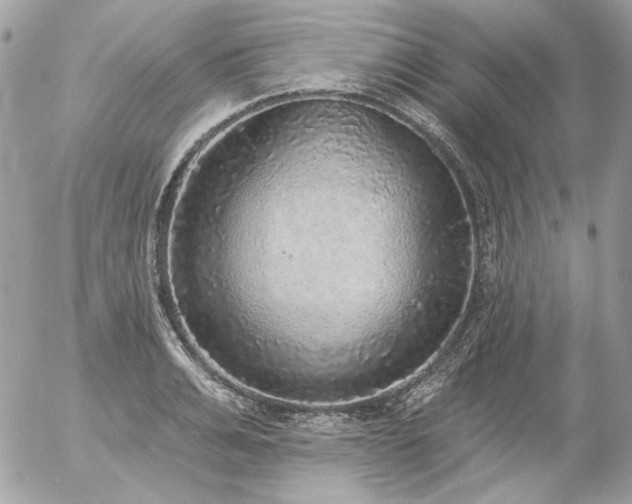 X0000056350991200508261307