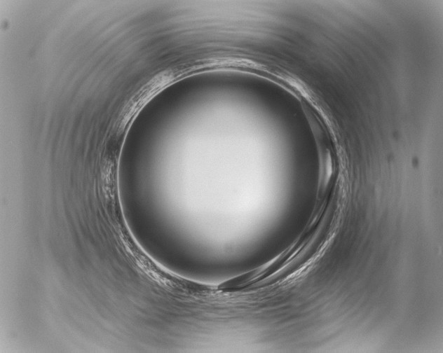 X0000056351001200508261307
