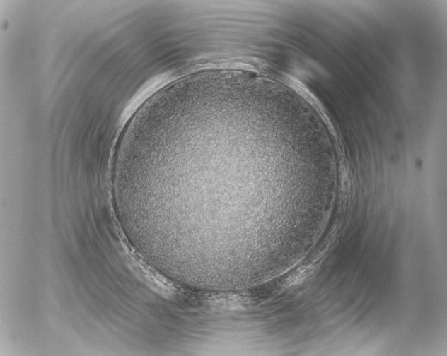 X0000056351002200508261307