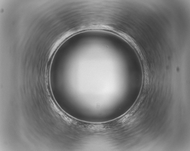 X0000056351006200508261307