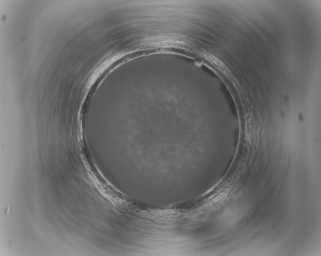 X0000056351031200508261306