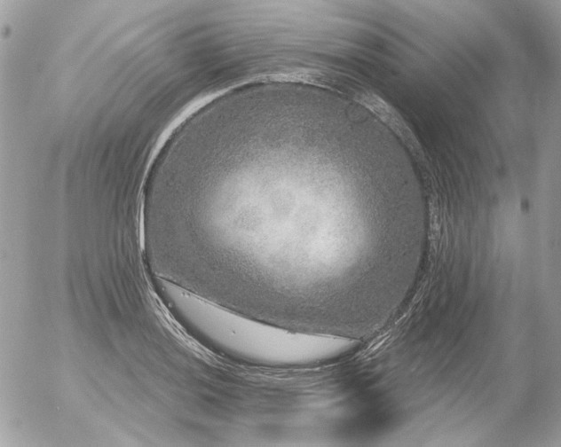 X0000056351036200508261306