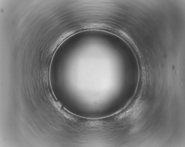 X0000056351041200508261306