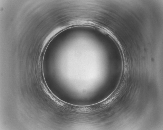 X0000056351053200508261307