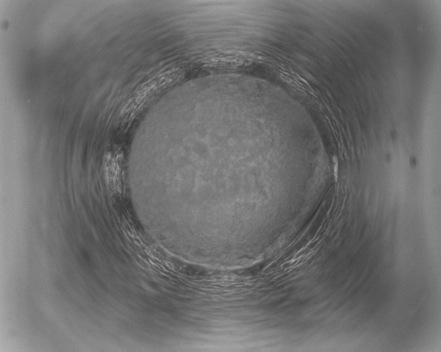 X0000056351059200508261306