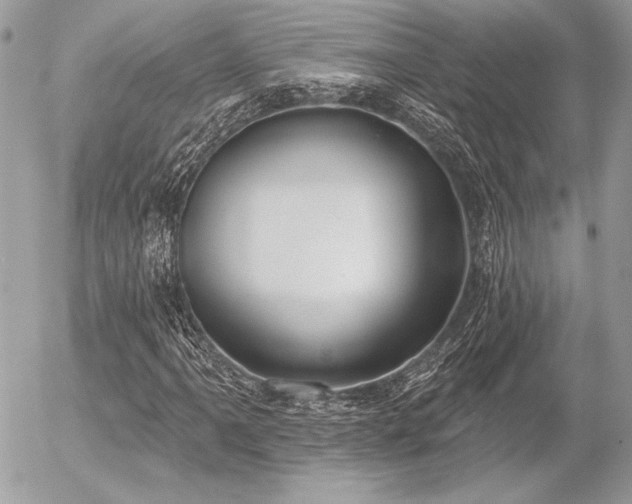 X0000056351061200508261306