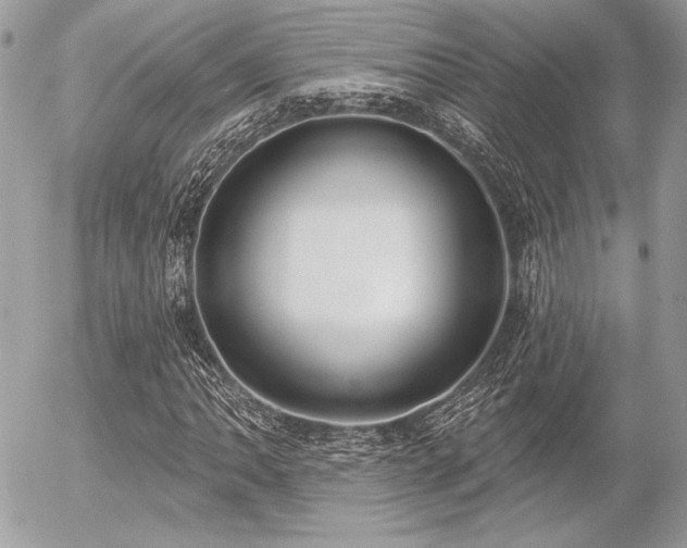 X0000056351062200508261306