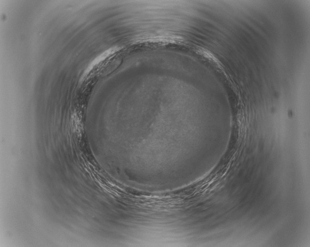 X0000056351064200508261306