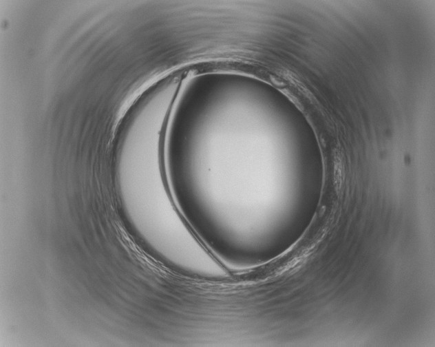 X0000056351069200508261306