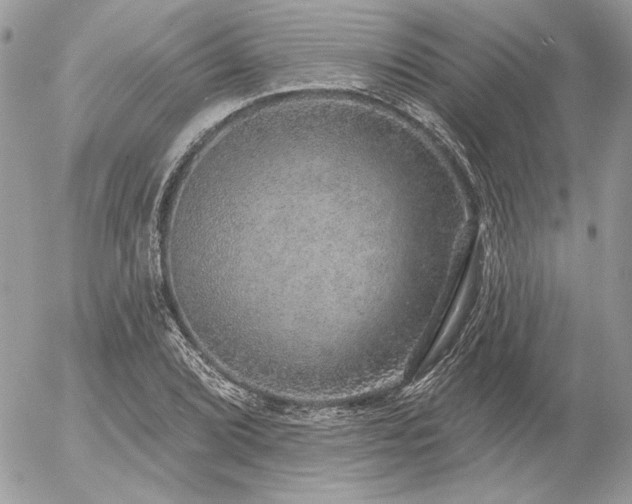 X0000056351072200508261306