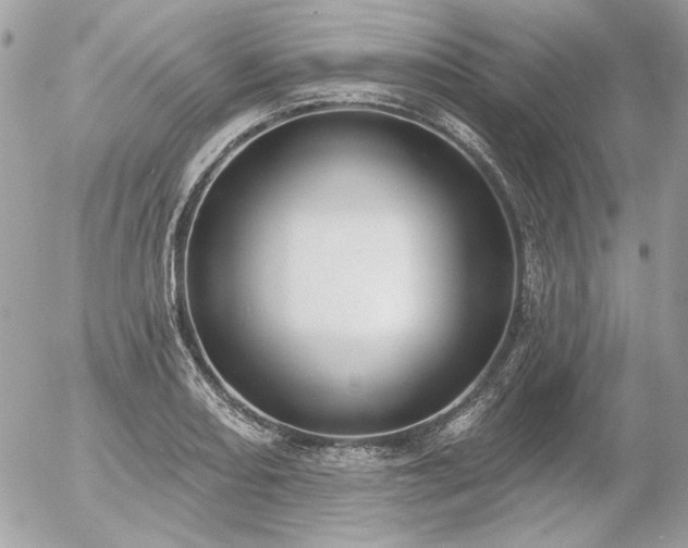 X0000056351082200508261305