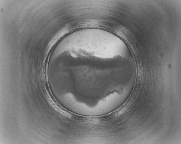 X0000056351090200508261305
