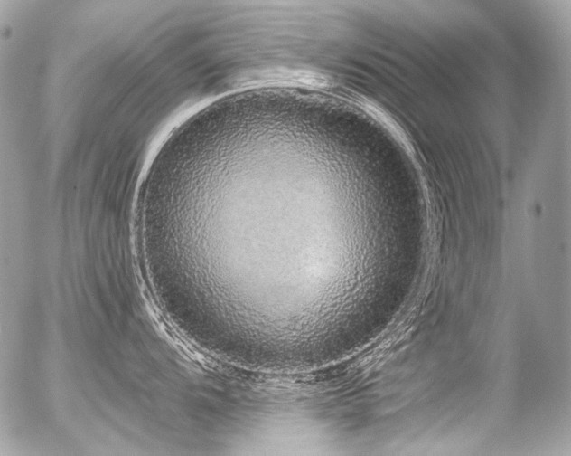 X0000056351104200508261305