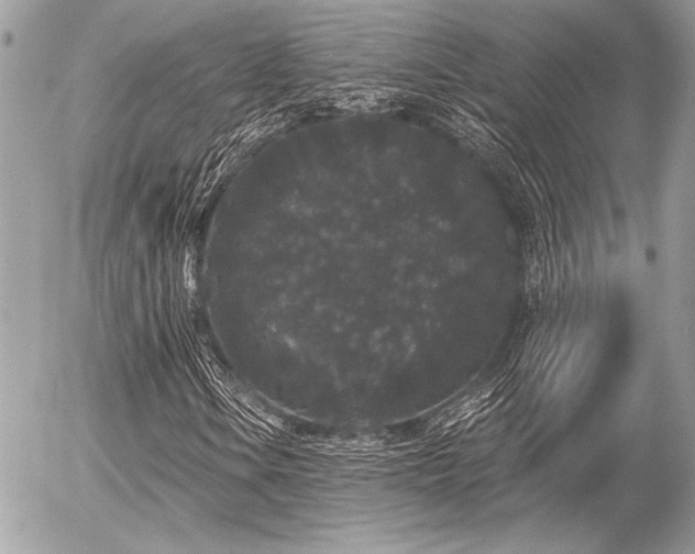 X0000056351106200508261304