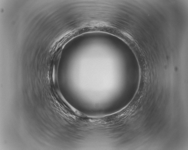 X0000056351112200508261304