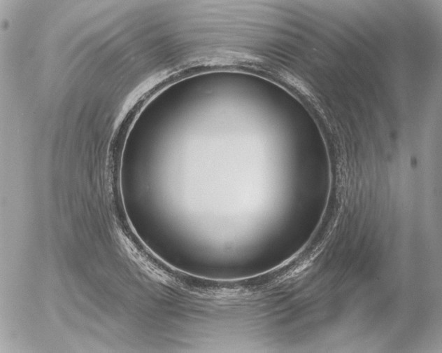 X0000056351122200508261304