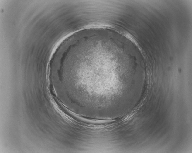 X0000056351124200508261305
