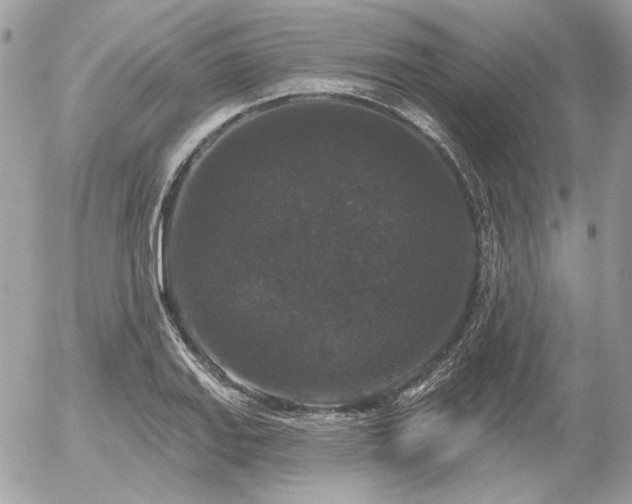X0000056351127200508261305