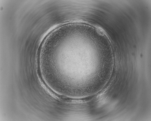 X0000056351142200508261305