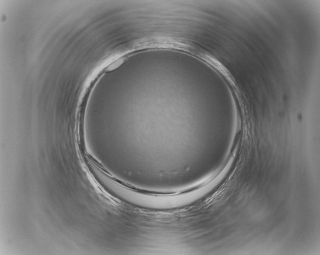 X0000056351144200508261305