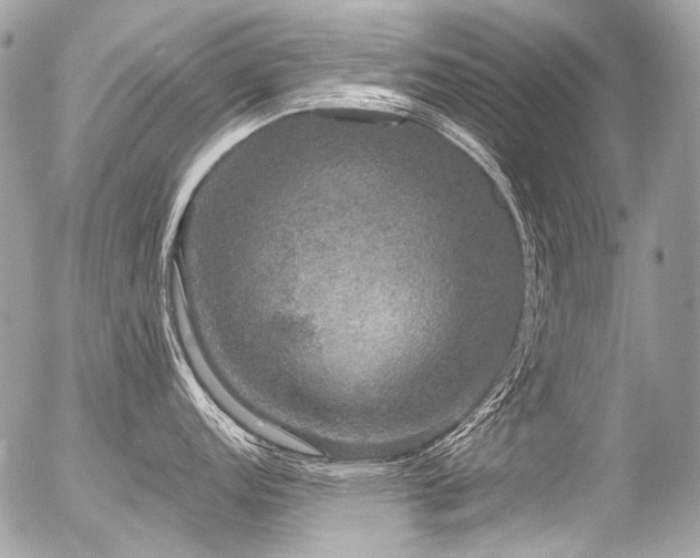 X0000056351152200508261305