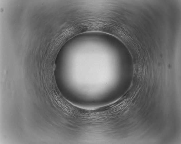 X0000056351153200508261304