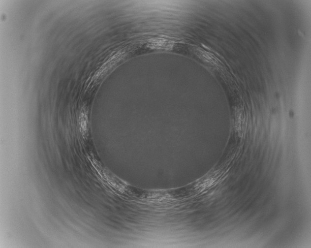 X0000056351154200508261304
