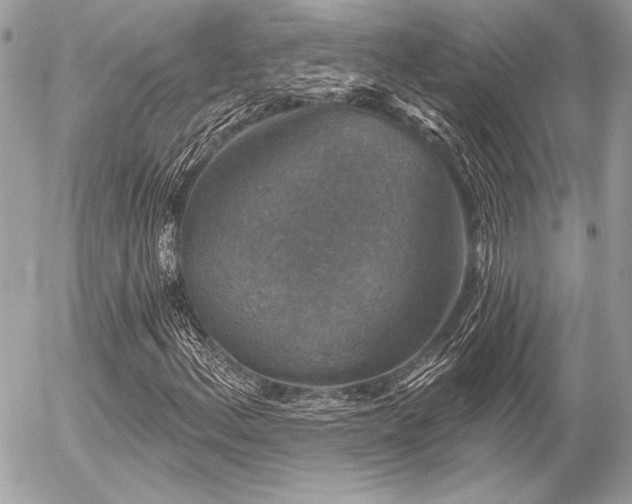 X0000056351156200508261304