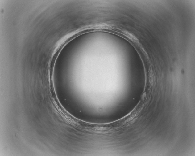 X0000056351176200508261304