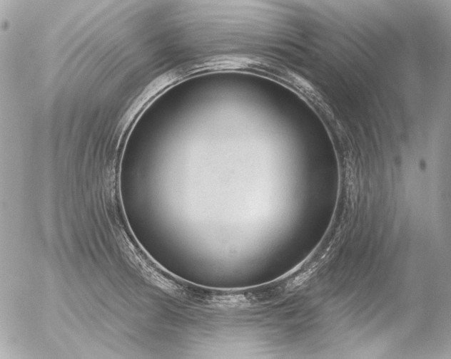 X0000056351186200508261304